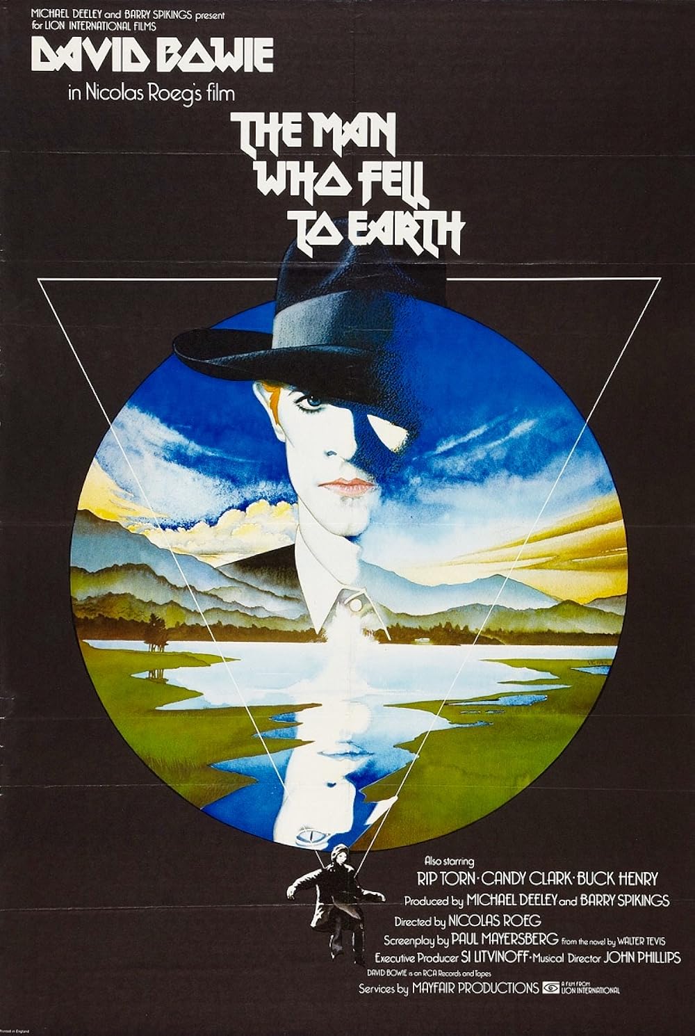 THE MAN WHO FELL TO EARTH